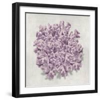 Coral Amethyst II-Caroline Kelly-Framed Art Print