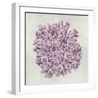 Coral Amethyst II-Caroline Kelly-Framed Art Print