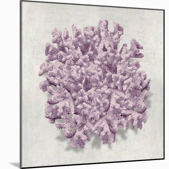 Coral Amethyst II-Caroline Kelly-Mounted Art Print