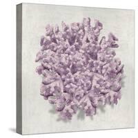 Coral Amethyst II-Caroline Kelly-Stretched Canvas