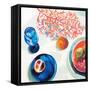 Coral and Blue Kitchenware-Jenny Westenhofer-Framed Stretched Canvas