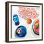 Coral and Blue Kitchenware-Jenny Westenhofer-Framed Art Print