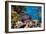 Coral and Fish in the Red Sea.Egypt-Irochka-Framed Photographic Print