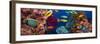 Coral and Fish in the Red Sea.Egypt-Irochka-Framed Photographic Print