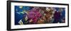 Coral and Fish in the Red Sea.Egypt-Irochka-Framed Photographic Print