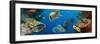 Coral and Fish in the Red Sea.Egypt-Irochka-Framed Photographic Print