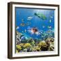 Coral and Fish in the Red Sea.Egypt-Irochka-Framed Photographic Print