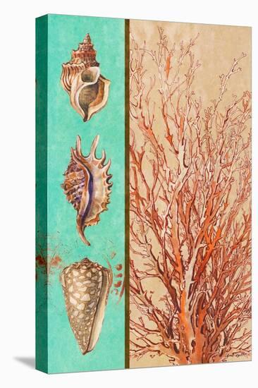 Coral and Sea Shells I-Lanie Loreth-Stretched Canvas