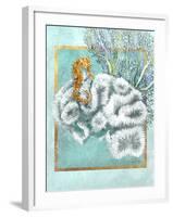 Coral and Seahorse-Lori Schory-Framed Art Print