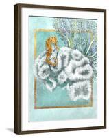 Coral and Seahorse-Lori Schory-Framed Art Print