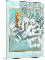 Coral and Seahorse-Lori Schory-Mounted Art Print