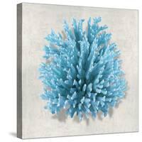 Coral Aqua I-Caroline Kelly-Stretched Canvas