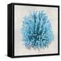 Coral Aqua I-Caroline Kelly-Framed Stretched Canvas