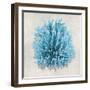 Coral Aqua I-Caroline Kelly-Framed Art Print