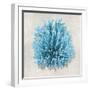 Coral Aqua I-Caroline Kelly-Framed Art Print