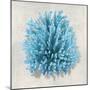 Coral Aqua I-Caroline Kelly-Mounted Art Print