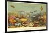 Coral Bank in the Red Sea-null-Framed Giclee Print