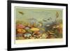 Coral Bank in the Red Sea-null-Framed Giclee Print