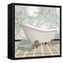 Coral Bath 2A-Carole Stevens-Framed Stretched Canvas