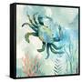 Coral Bay Crab-null-Framed Stretched Canvas