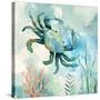 Coral Bay Crab-null-Stretched Canvas