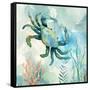 Coral Bay Crab-null-Framed Stretched Canvas