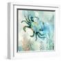 Coral Bay Crab-null-Framed Art Print