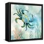 Coral Bay Crab-null-Framed Stretched Canvas