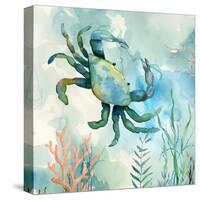 Coral Bay Crab-null-Stretched Canvas