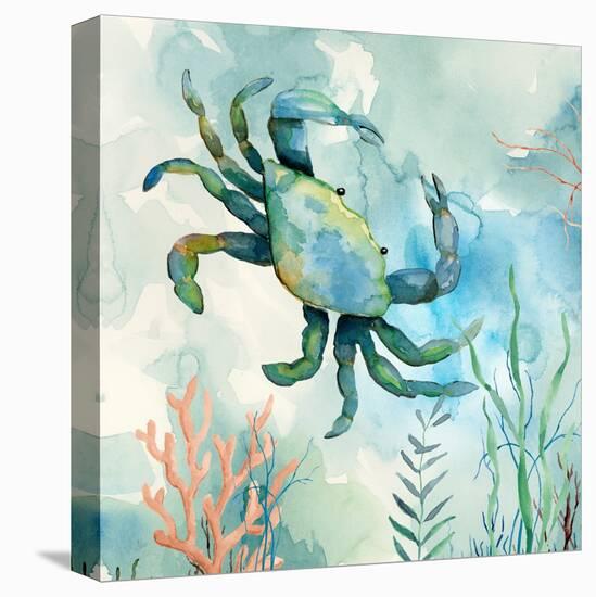 Coral Bay Crab-null-Stretched Canvas