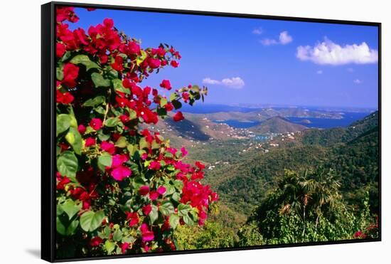 Coral Bay Panorama, St John, US Virgin Islands-George Oze-Framed Stretched Canvas