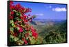 Coral Bay Panorama, St John, US Virgin Islands-George Oze-Framed Stretched Canvas