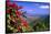 Coral Bay Panorama, St John, US Virgin Islands-George Oze-Framed Stretched Canvas