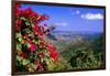 Coral Bay Panorama, St John, US Virgin Islands-George Oze-Framed Photographic Print