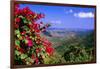 Coral Bay Panorama, St John, US Virgin Islands-George Oze-Framed Photographic Print