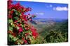 Coral Bay Panorama, St John, US Virgin Islands-George Oze-Stretched Canvas