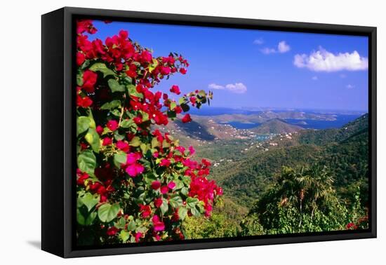 Coral Bay Panorama, St John, US Virgin Islands-George Oze-Framed Stretched Canvas