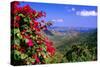 Coral Bay Panorama, St John, US Virgin Islands-George Oze-Stretched Canvas