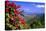 Coral Bay Panorama, St John, US Virgin Islands-George Oze-Stretched Canvas