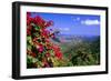 Coral Bay Panorama, St John, US Virgin Islands-George Oze-Framed Photographic Print