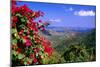 Coral Bay Panorama, St John, US Virgin Islands-George Oze-Mounted Photographic Print