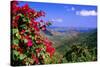 Coral Bay Panorama, St John, US Virgin Islands-George Oze-Stretched Canvas