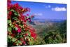 Coral Bay Panorama, St John, US Virgin Islands-George Oze-Mounted Photographic Print