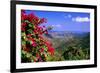 Coral Bay Panorama, St John, US Virgin Islands-George Oze-Framed Photographic Print