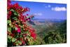 Coral Bay Panorama, St John, US Virgin Islands-George Oze-Mounted Photographic Print