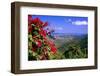 Coral Bay Panorama, St John, US Virgin Islands-George Oze-Framed Photographic Print