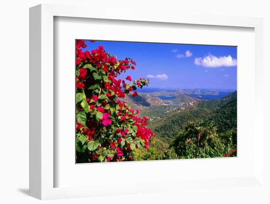 Coral Bay Panorama, St John, US Virgin Islands-George Oze-Framed Photographic Print