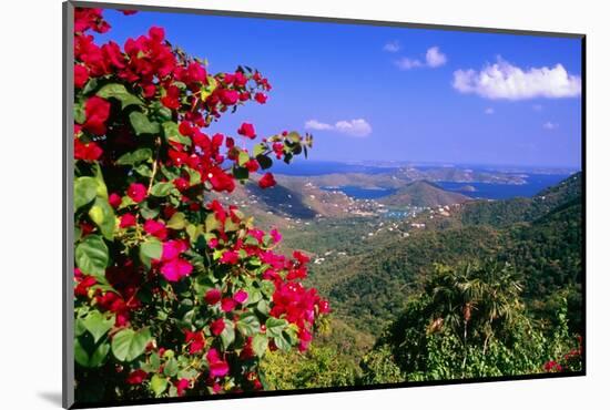 Coral Bay Panorama, St John, US Virgin Islands-George Oze-Mounted Photographic Print