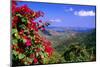 Coral Bay Panorama, St John, US Virgin Islands-George Oze-Mounted Photographic Print