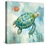 Coral Bay Sea Turtle I-null-Stretched Canvas